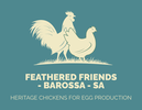 FEATHERED FRIENDS - BAROSSA - SA